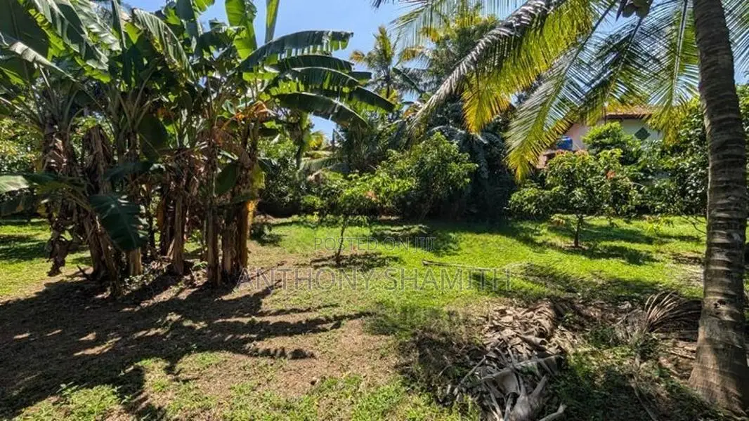 45 Perches Land For Sale In Ekala Ja-Ela