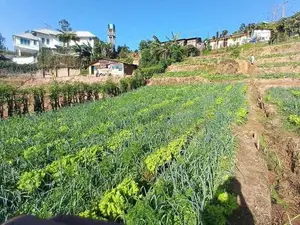Agricultural Land For Sale – Near Nuwara Eliya Town