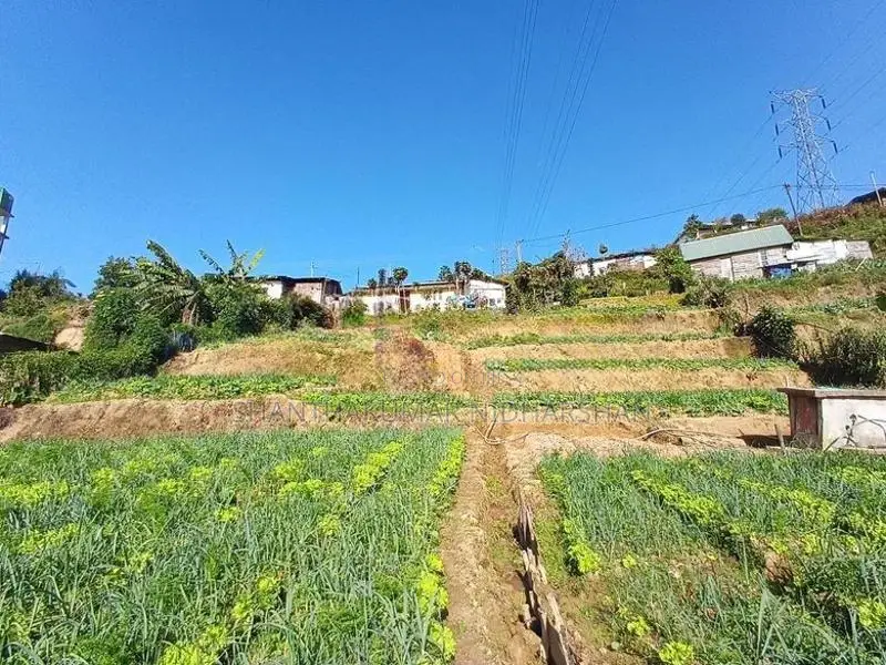 Agricultural Land For Sale – Near Nuwara Eliya Town
