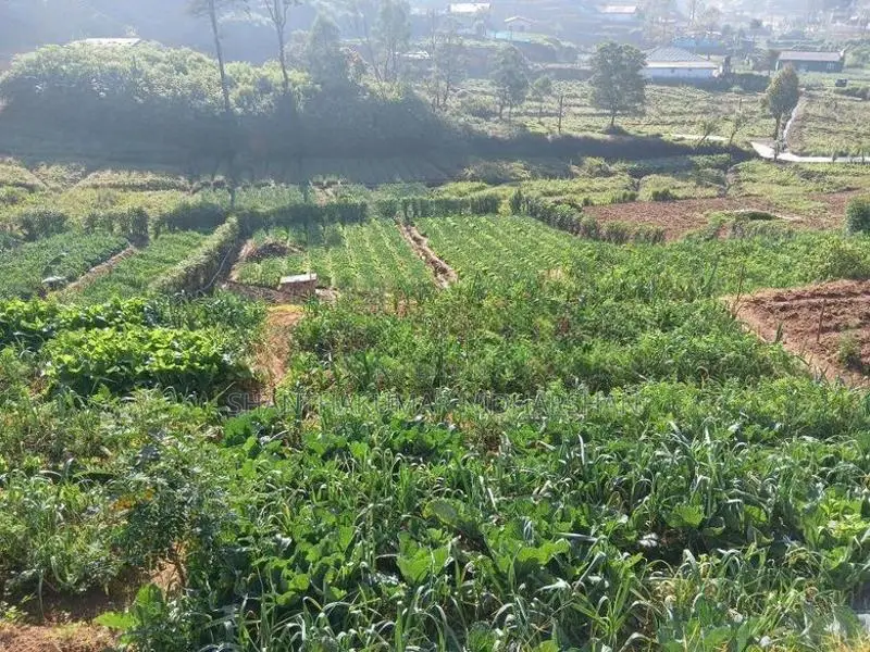 Agricultural Land For Sale – Near Nuwara Eliya Town