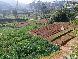 Agricultural Land For Sale – Near Nuwara Eliya Town