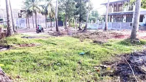 සින්නක්කර ඔප්පු සහිත නිස්කලංක පරිසරයක පිහිටි අගනා ඉඩමක් වහාම විකිණීමට.
