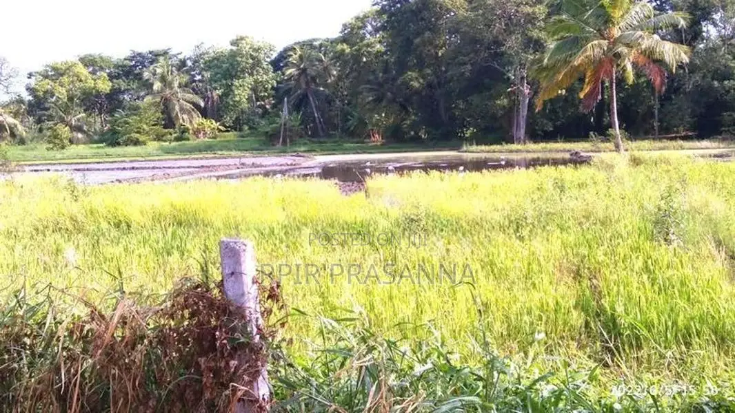 සින්නක්කර ඔප්පු සහිත නිස්කලංක පරිසරයක පිහිටි අගනා ඉඩමක් වහාම විකිණීමට.