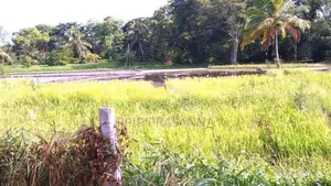 සින්නක්කර ඔප්පු සහිත නිස්කලංක පරිසරයක පිහිටි අගනා ඉඩමක් වහාම විකිණීමට.