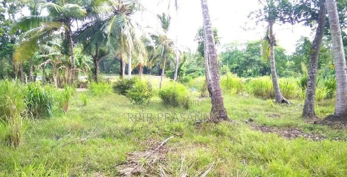 සින්නක්කර ඔප්පු සහිත නිස්කලංක පරිසරයක පිහිටි අගනා ඉඩමක් වහාම විකිණීමට.
