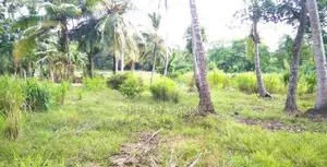 සින්නක්කර ඔප්පු සහිත නිස්කලංක පරිසරයක පිහිටි අගනා ඉඩමක් වහාම විකිණීමට.