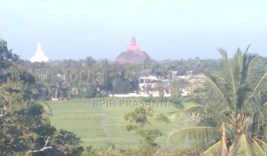 සින්නක්කර ඔප්පු සහිත නිස්කලංක පරිසරයක පිහිටි අගනා ඉඩමක් වහාම විකිණීමට.