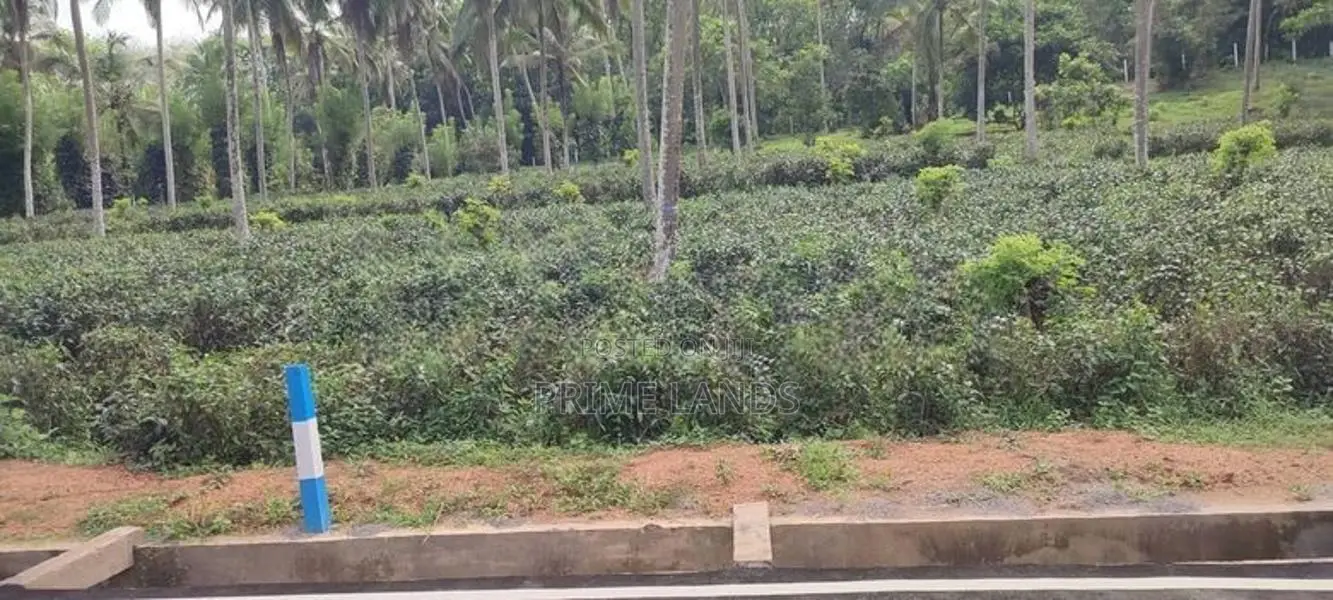 Coconut Land for Sale in Homagama