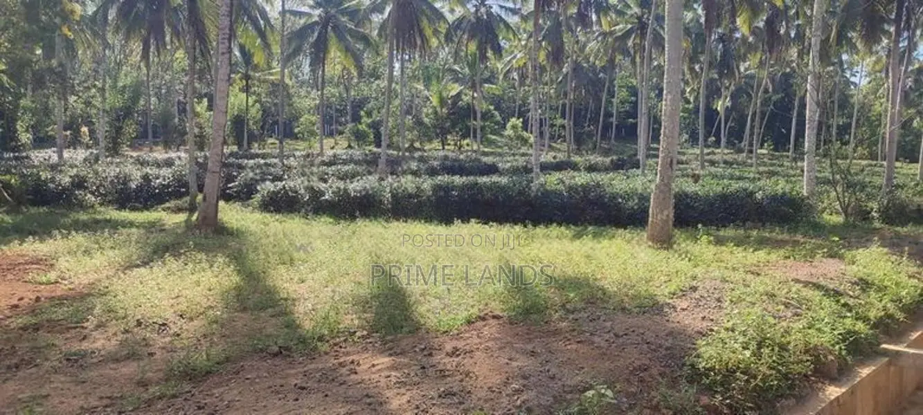 Coconut Land for Sale in Homagama