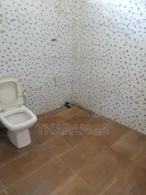 1 st floor house for rent in papliyana