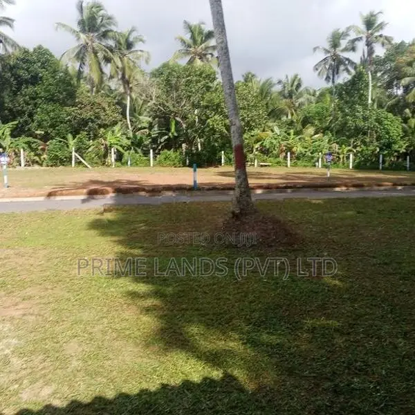 Land for Sale Minuwangoda