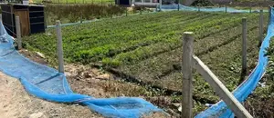 Prime Land For Sale Nuwara Eliya