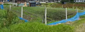 Prime Land For Sale Nuwara Eliya