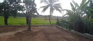 pelawatha 8.00 perch paddy field facing land for sale .