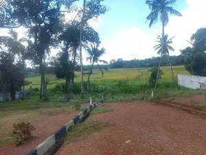Facing Paddy Field Land for Sale in Thalahena Muththettugoda Road