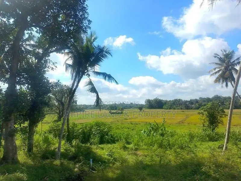 Facing Paddy Field Land for Sale in Thalahena Muththettugoda Road