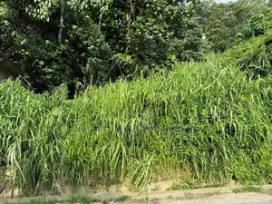 Land for Sale Kandy