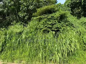 Land for Sale Kandy