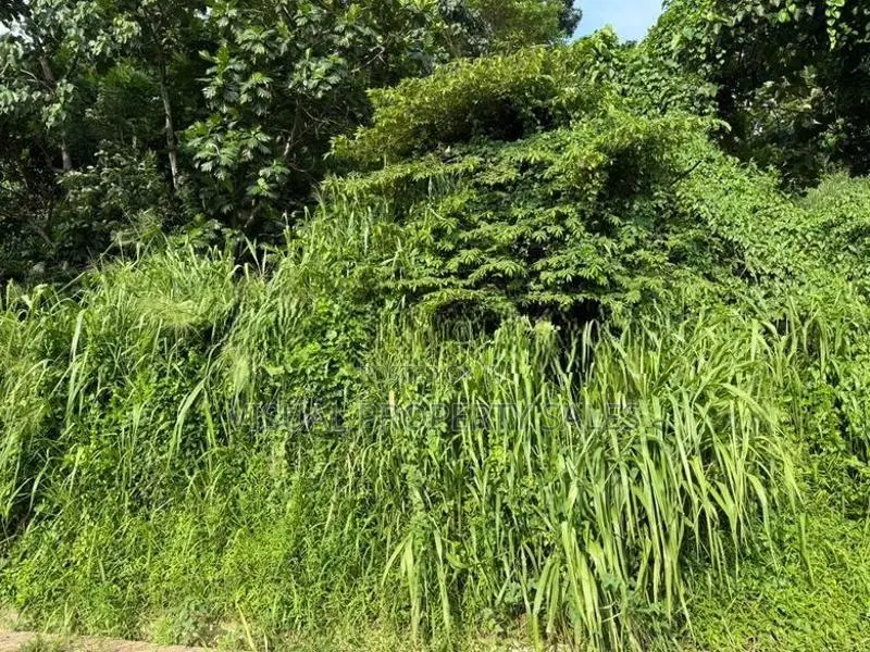 Land for Sale Kandy