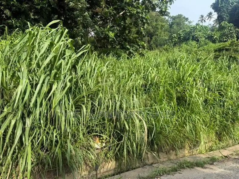 Land for Sale Kandy