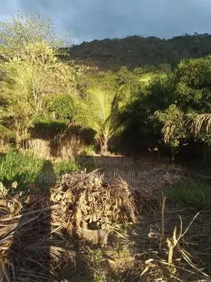 A Valuable Land For Sale In Monaragala Town