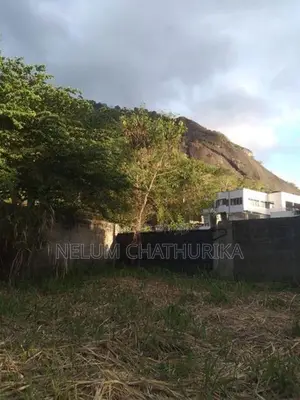 A Valuable Land For Sale In Monaragala Town