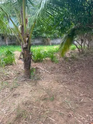 A Valuable Land For Sale In Monaragala Town