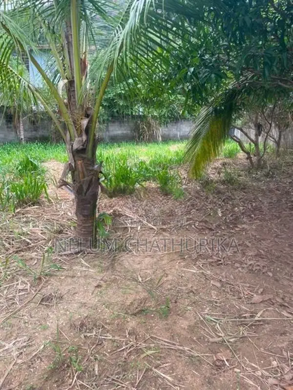A Valuable Land For Sale In Monaragala Town