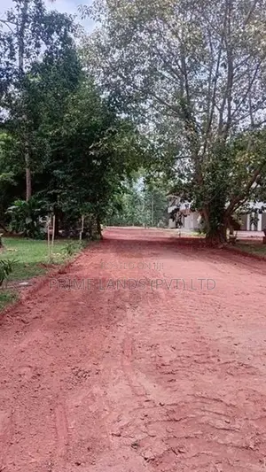Land for Sale Negambo