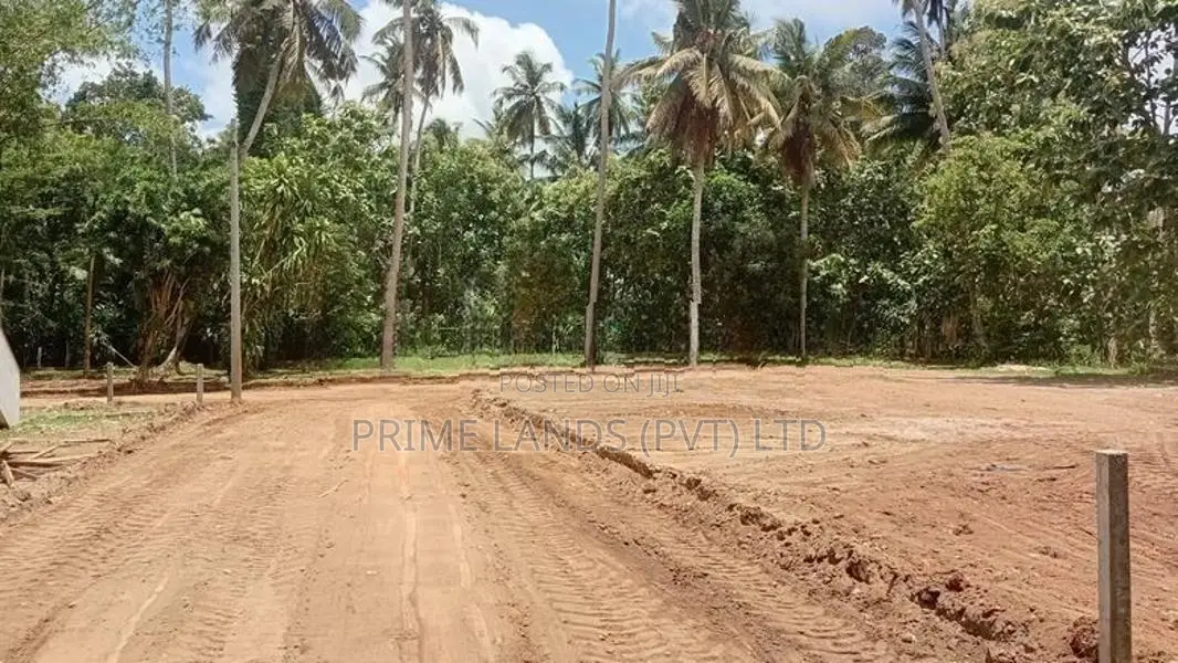 Katana Land for Sale
