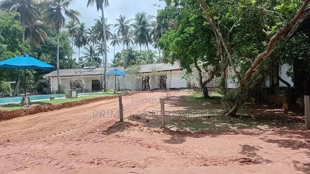Katana Land for Sale