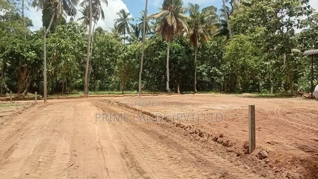 Katana Land for Sale