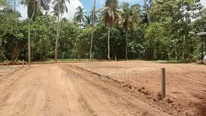 Katana Land for Sale