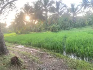 House with Land for Sale – Ibbagamuwa, Kurunegala!