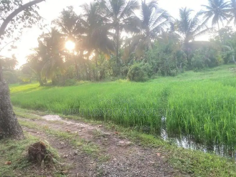 House with Land for Sale – Ibbagamuwa, Kurunegala!