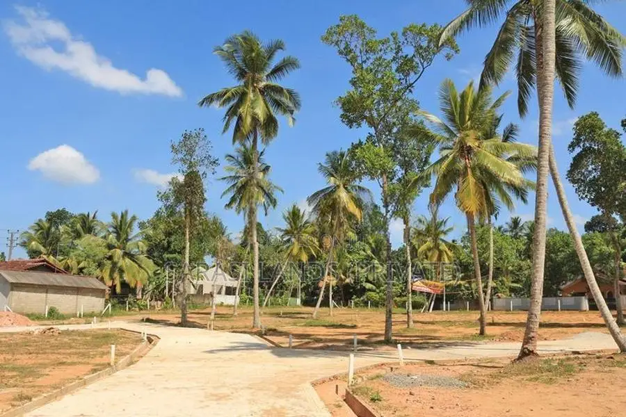 වේයන්ගොඩ නගර සීමාවේ වටිනා නේවාසික ඉඩම්