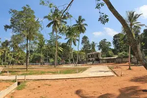 වේයන්ගොඩ නගර සීමාවේ වටිනා නේවාසික ඉඩම්
