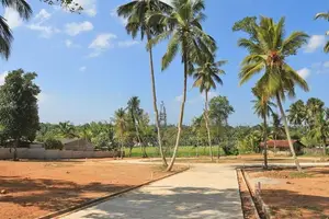 වේයන්ගොඩ නගර සීමාවේ වටිනා නේවාසික ඉඩම්