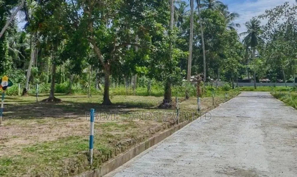 Land for Sale in Minuwangoda Ballapana