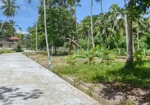 Land for Sale in Minuwangoda Ballapana