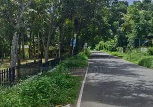 Land for Sale in Minuwangoda Ballapana