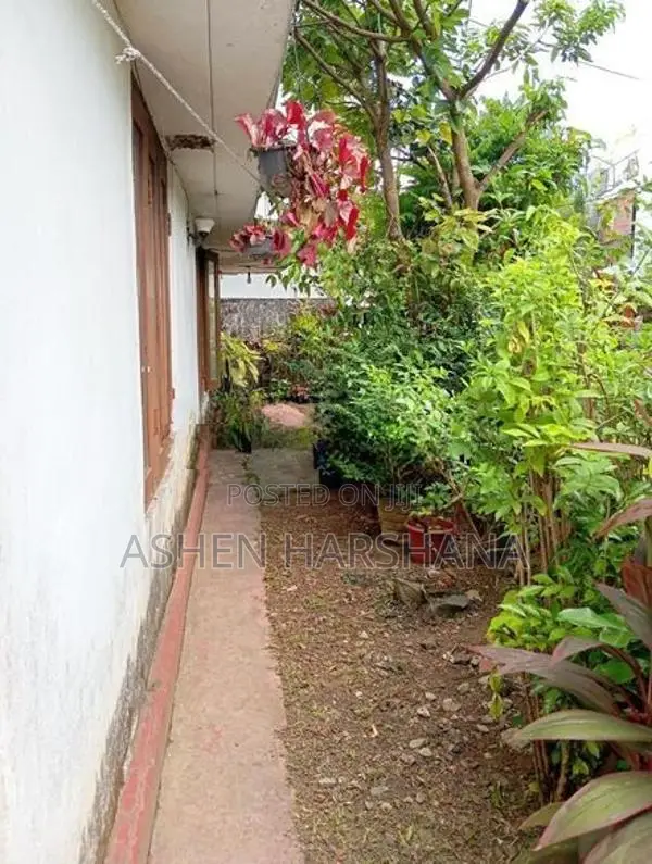 House With Valuable Land For Sale In Gothatuwa Rajagiriya