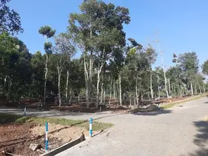 Land for Sale Thalathuoya