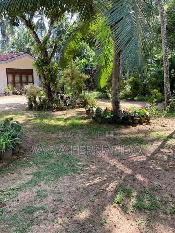 70 Perches Land with House For Sale Pethiyagoda
