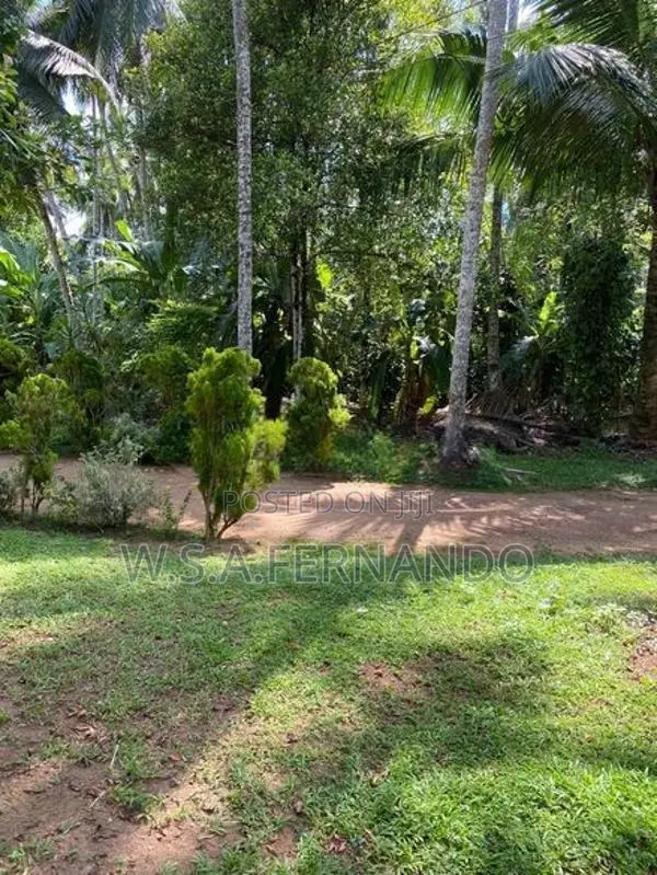 70 Perches Land with House For Sale Pethiyagoda