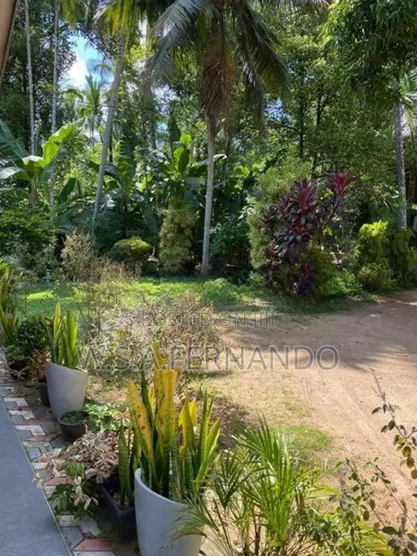 70 Perches Land with House For Sale Pethiyagoda