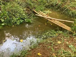 Land For Sale In Keppetipola Welimada