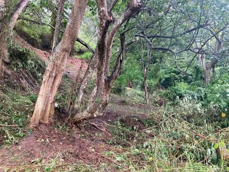 Land For Sale In Keppetipola Welimada