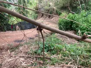 Land For Sale In Keppetipola Welimada