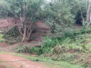 Land For Sale In Keppetipola Welimada